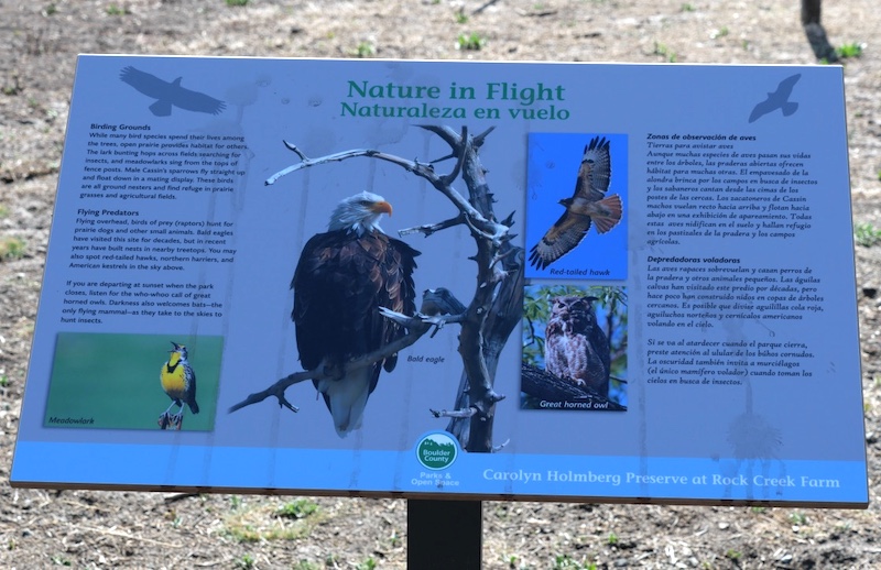 Stearns Lake Trailhead